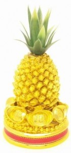 the pineapple